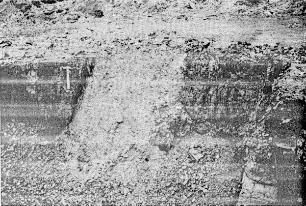 View of filled bell-pit going through coal, exposed by open-cast working